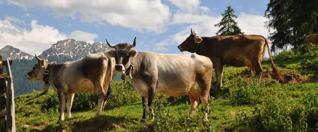 Ferienwohnung Maiernhof Bauernhof Ultental ซาน พานคราซิโอ ดิอุลติโม ภายนอก รูปภาพ